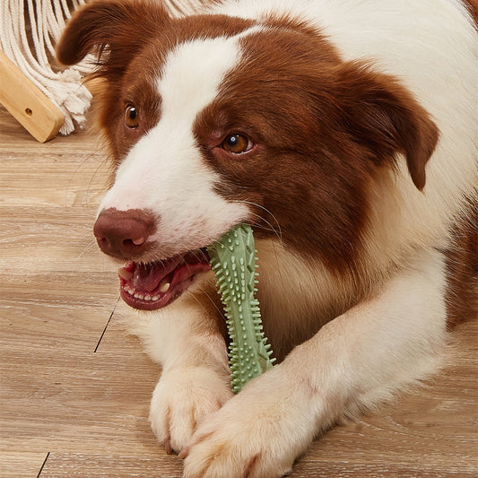 Chew Toys and teeth cleaner For Dogs